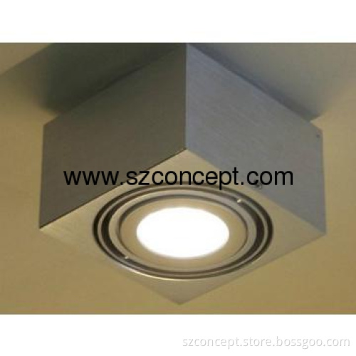 10W LED Hanging Light With 1pcs AR111 10W Lamp - P